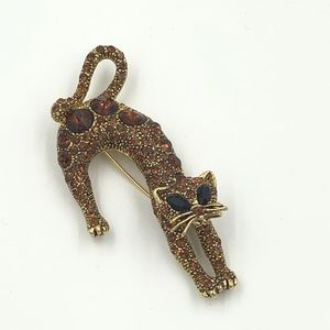 🐱😻 Stunning crystal cat 🐈 pin 😻🐱